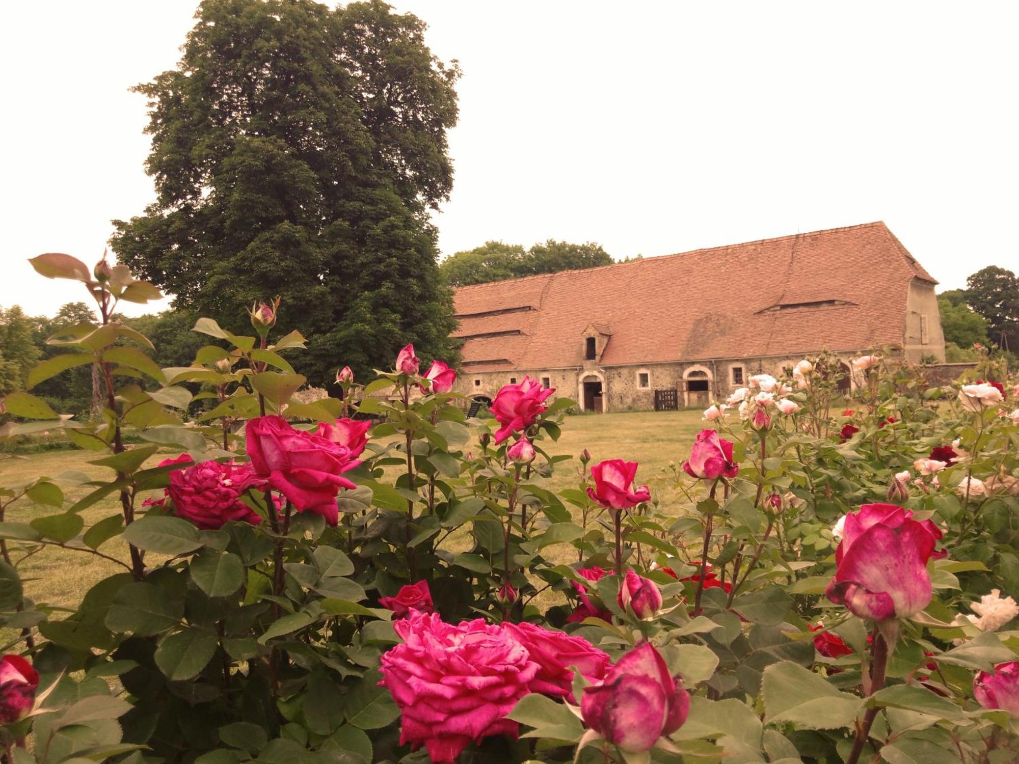 Studniska Country Estate Villa Bagian luar foto