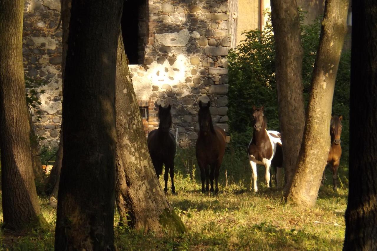 Studniska Country Estate Villa Bagian luar foto